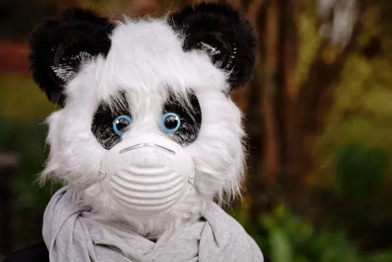 Kazino Eight Storm Pagalba